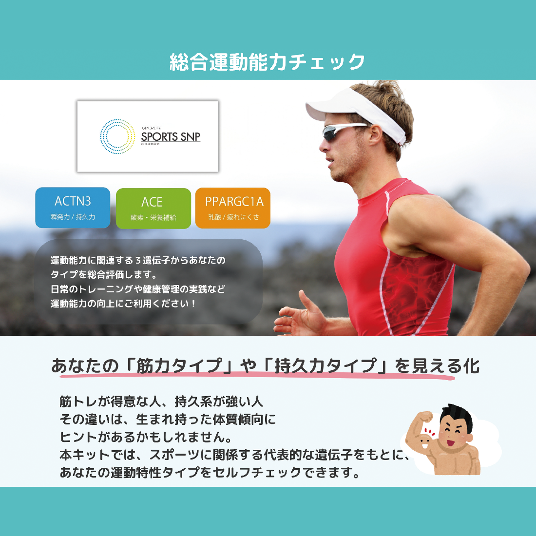 SPORTS遺伝子検査【総合運動能力】