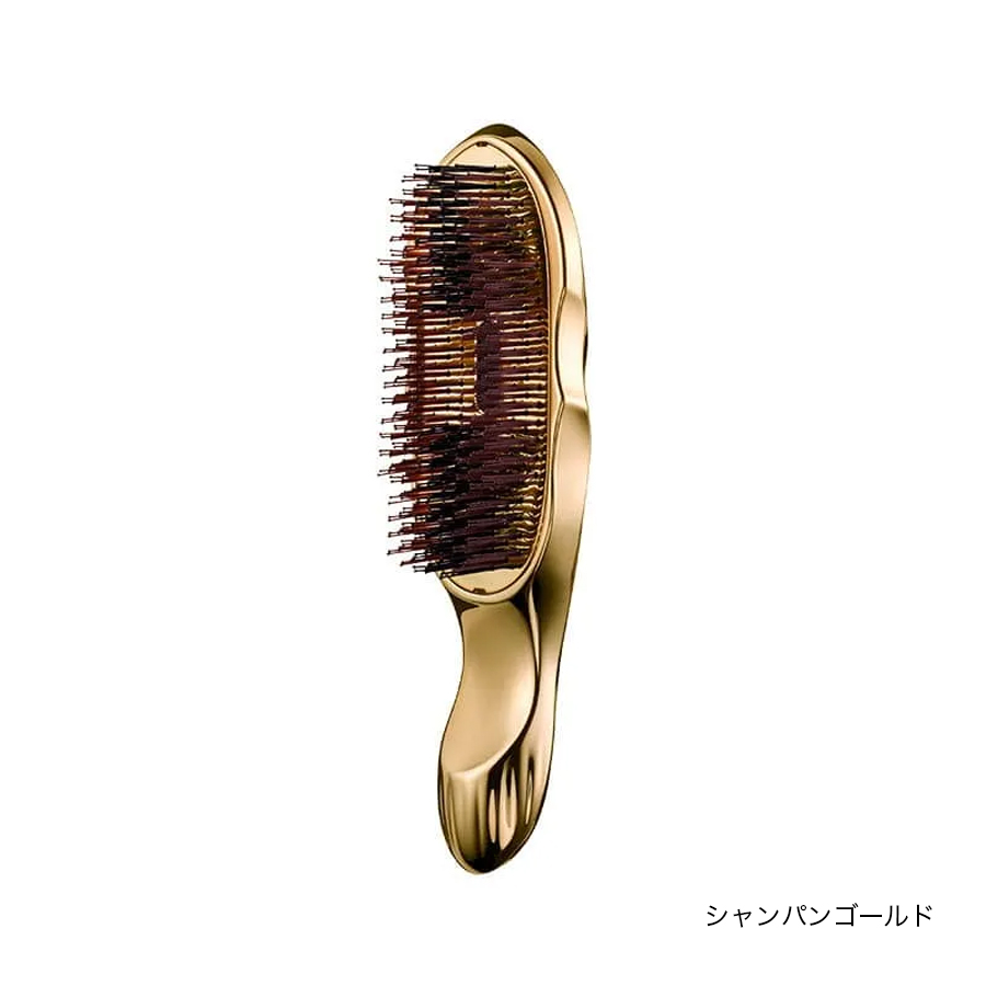 リファイオンケアブラシプレミアム