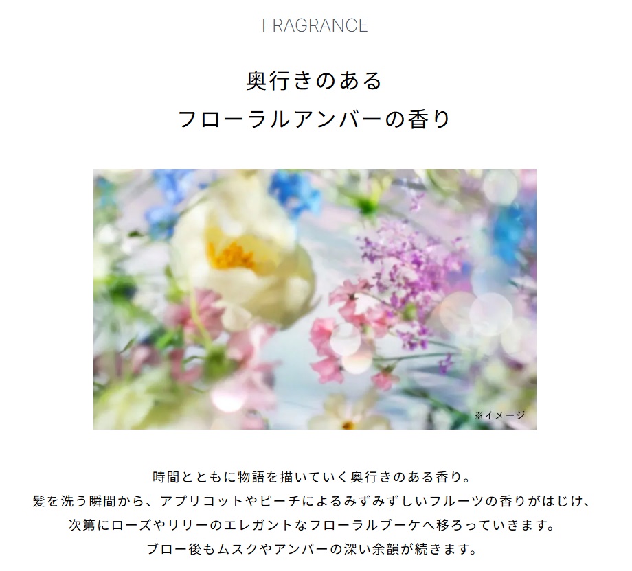 リファ ビューテックシャンプー500ml・トリートメント500g セット